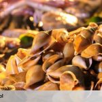 11 Makanan Khas Batam yang Wajib Masuk ke Daftar Kulineranmu – IDNTimes.com