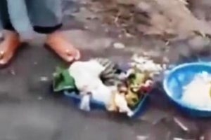 Penendang Sajen di Gunung Semeru Diburu Polisi – SEIDE – Seide.id