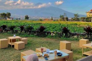 5 Cafe Outdoor di Malang dengan Lanskap Menawan – AFood – Akurasi.id